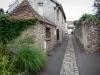 Briis-sous-Forges - Narrow street of the village lined with houses