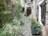 Brousse-le-Château - Paved street lined with flowers and stone houses of the medieval village