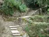 Brousse-le-Château - Stone steps lined with vegetation