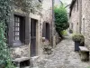Brousse-le-Château - Paved street lined with stone houses