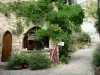 Bruniquel - Maison en pierre et sa façade ornée de glycine