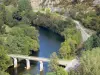Bruniquel - Vue sur le pont enjambant la rivière Aveyron et les rives plantées d'arbres