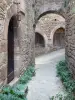 Bruniquel - Ruelle bordée de plantes et de maisons en pierre