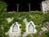 Bruniquel - Façade d'une maison en pierre ornée de vigne vierge