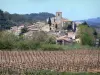 Cabardès - Campanario y casas en el pueblo de Aragón con vistas a un viñedo viña del Cabardès