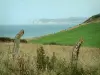 Cabo Blanc-Nez - Opal Coast: cerca de alambre de púas, la vegetación, la hierba, el mar y Cap Blanc-Nez, en el fondo (Parc Naturel Régional des Caps et Marais d'Opale)