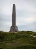 Cabo Blanc-Nez - Memorial, la hierba y flores silvestres (Parque Natural Regional de los Caps et Marais d'Opale)