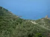 Cabo Córcega - Los árboles, arbustos y genoveses torre en el mar (Costa Oeste)