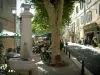 La Cadière-d'Azur - Fontaine, plátanos (árboles), cafetería, farolas y casas de la villa medieval