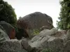 Calanche de Piana - 皮亚纳的卡兰奇: 红色花岗岩岩石（小溪）：狗的头