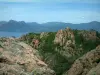 Le calanche di Piana - Calanche di Piana: Granito rosso pali (insenature rocciose) con alberi, rocce e il Mar Mediterraneo in background