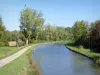 Canal de Borgoña - Camino de sirga a lo largo del Canal de Borgoña bordeado de árboles