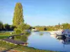 Canal de Borgoña - Barcos en el puerto deportivo de Saint-Florentin
