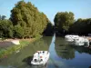 Canal del Garona - Barcos que navegan por el canal del Garona (Canal de Garona), los barcos amarrados, y los aviones (los árboles) en el borde del agua, en Damazan