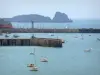 Cancale - Bateaux, jetées du port de la Houle (port de pêche) et rocher de Cancale 