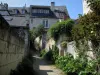 Candes-Saint-Martin - La calle llena de plantas y casas de pueblo