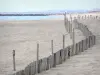 Canet-en-Roussillon - Playa de arena de la localidad