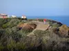 Le Cap-d'Agde - Paseo con vistas al mar Mediterráneo, las casas y residencias de la localidad