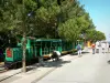 Le Cap-Ferret - Tranvía del Cap -Ferret ( petit train du Cap- Ferret)