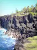 Cap Méchant - Côte déchiquetée du Sud sauvage