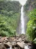 Carbet waterfalls - Second Carbet waterfall, tropical vegetation and river winding between the rocks; in the Guadeloupe National Park