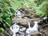 Carbet waterfalls - Grand Carbet river winding between the rocks