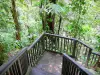 Carbet waterfalls - Trail in the rainforest