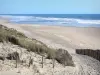 Carcans-Plage - Silver coast: sandy beach and Atlantic Ocean; in the town of Carcans 