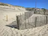 Carcans-Plage - Sand and ganivelles 