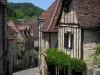 Carennac - Narrow street and stone houses of the village, in the Quercy