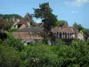 Carennac - Trees and houses of the village, in the Quercy