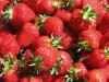 Carpentras strawberry - Gastronomy, holidays & weekends guide in the Vaucluse