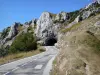 Carretera del puerto de Bataille