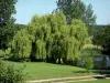 Casa solariega de Courboyer - Campo Courboyer: estanque rodeado de árboles en la ciudad de Noce