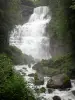 Cascadas del Hérisson - Gama de la cascada (cascada), rocas y árboles