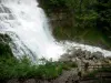 Cascadas del Hérisson - Gama de la cascada (cascada), trayectoria, rocas y arbustos