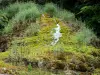 La cascade d'Étufs - Guide tourisme, vacances & week-end en Haute-Marne