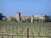 Cassan abbay-castle - Abbaye-castle (former royal priory) and vineyards in Roujan
