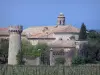 Cassan abbay-castle - Abbaye-castle (former royal priory), church bell tower, trees and vineyards, in Roujan