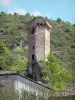 Castellane - Pentagonal tower