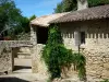Castelmoron-d'Albret - Casa de piedra decorada con una glicina