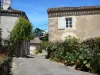 Castelmoron-d'Albret - Facciate delle case del villaggio fiorito