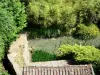 Castelmoron-d'Albret - La vegetación en la orilla del agua