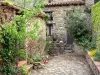 Castelnou - Las calles empedradas bordeadas de casas de piedra y plantas
