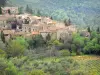 Castelnou - Vista de las casas del pueblo, en una zona verde