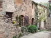 Castelnou - Ornamentada fachada de piedra