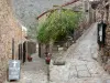 Castelnou - Calles empedradas y casas de piedra de la villa medieval