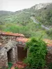 Castelnou - Frente de la casa de piedra con vistas al exuberante paisaje de los alrededores