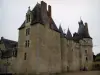 Castelo de Fougères-sur-Bièvre - Castle