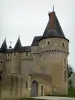 Castelo de Fougères-sur-Bièvre - Castle
